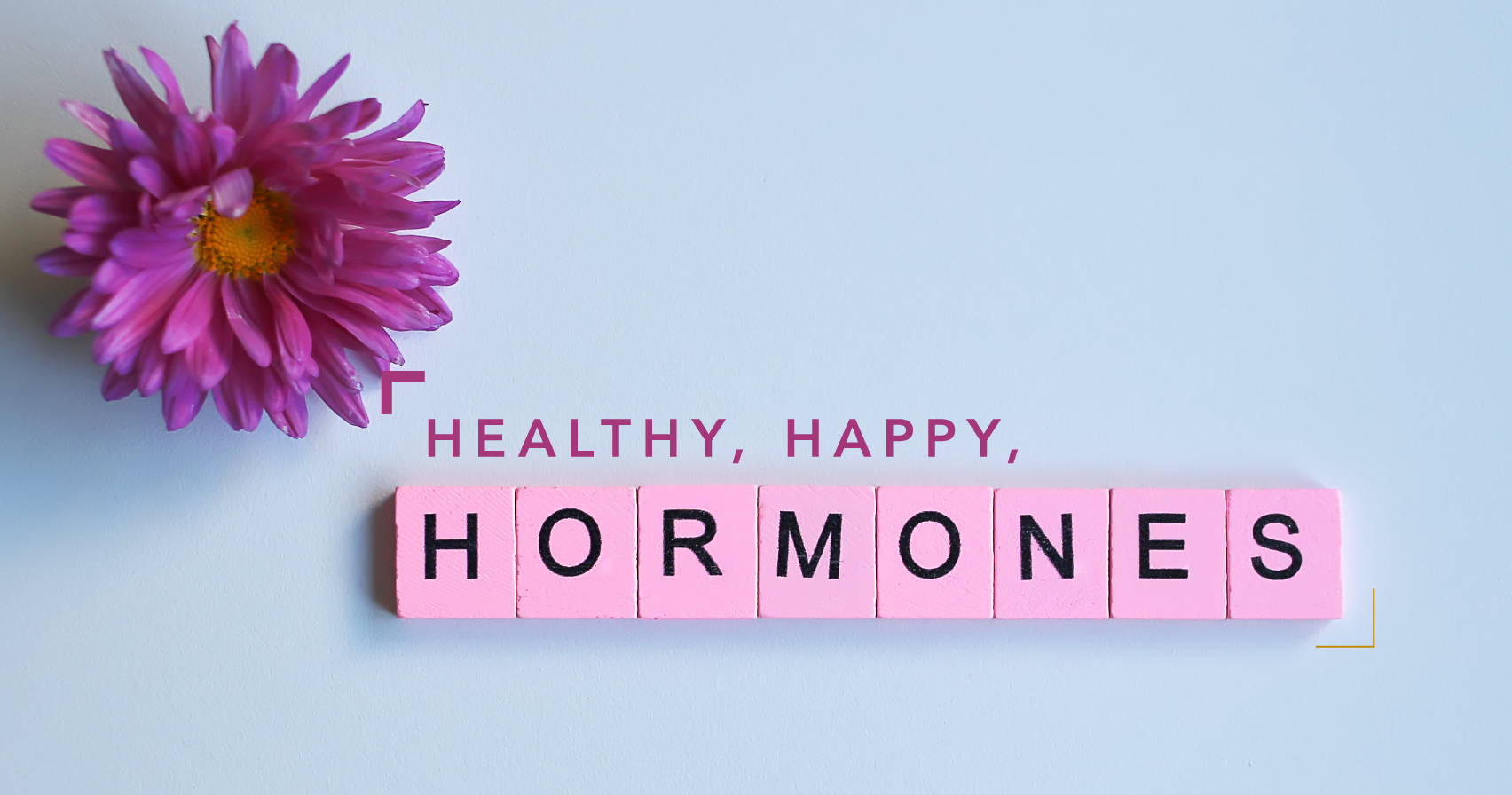 Healthy Happy Hormones