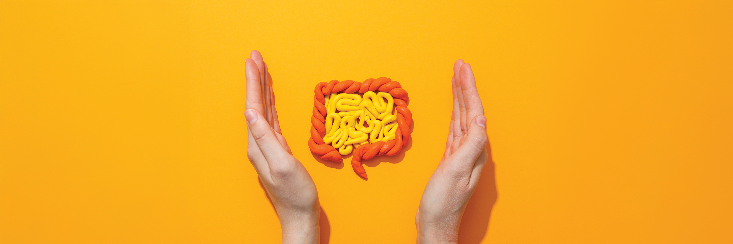 Why isn’t there a quick fix for gut health and what actually works long term?