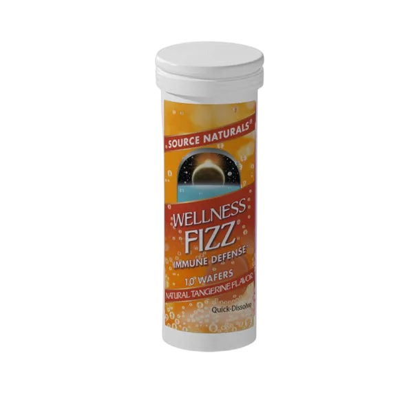 Source Naturals Wellness Fizz Tangerine 10 Wafers