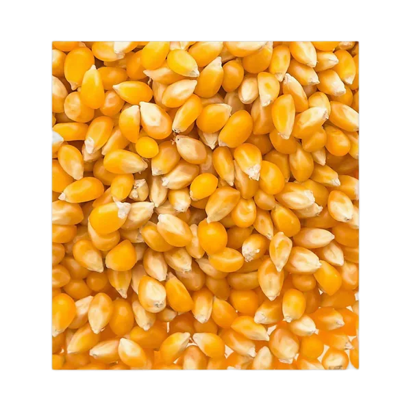 Vp Hu-Popcorns 500g