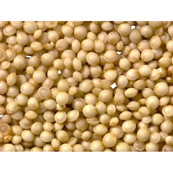 White Quinoa Grain 1kg