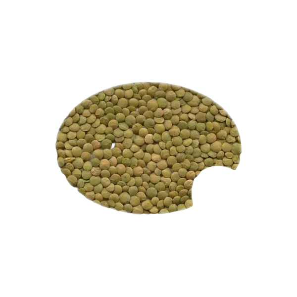 Org Green Lentils 1kg