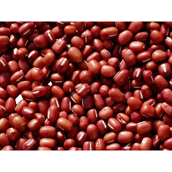 Org Aduki Beans 1kg