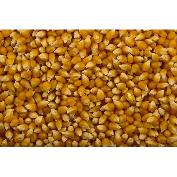 Popcorns 1kg
