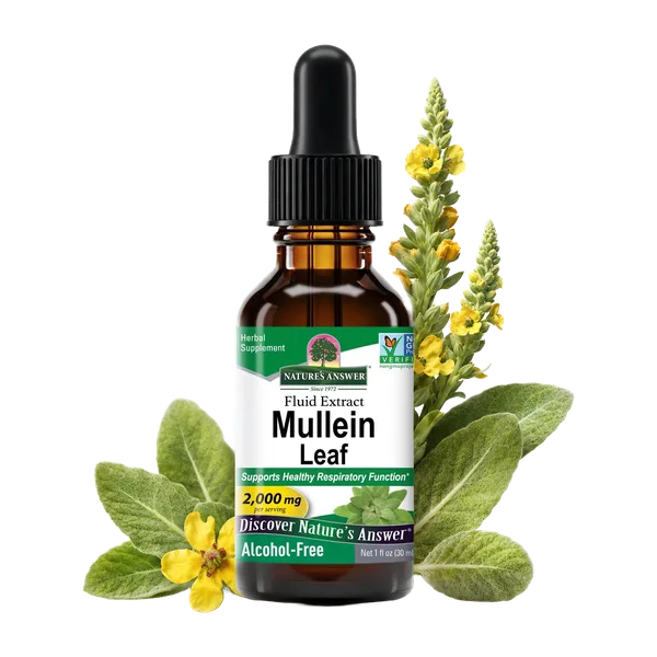 Nature's Answer Mullein Leaf 30 Ml