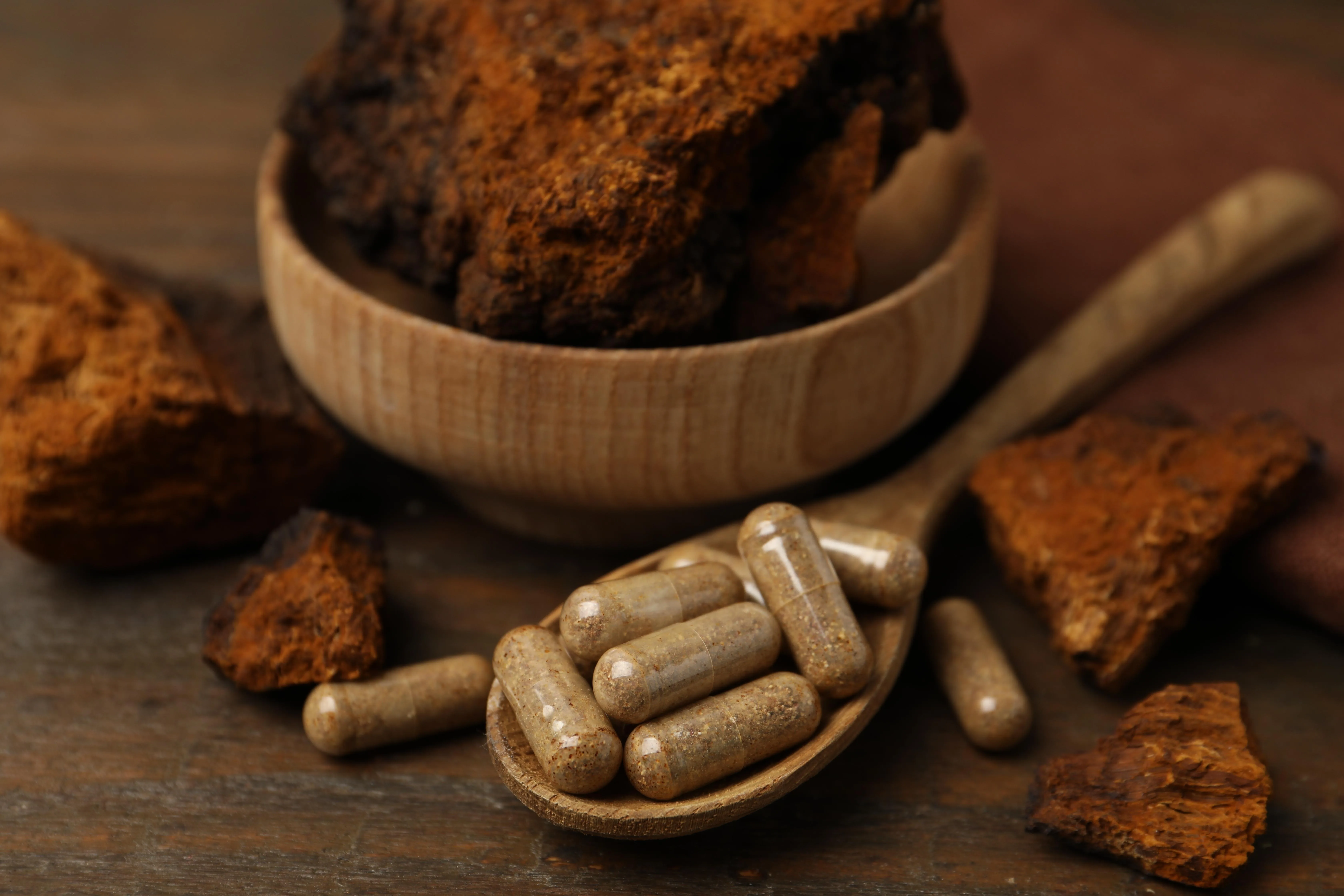 Functional Mushroom Spotlight: Feed Your Mind Naturally