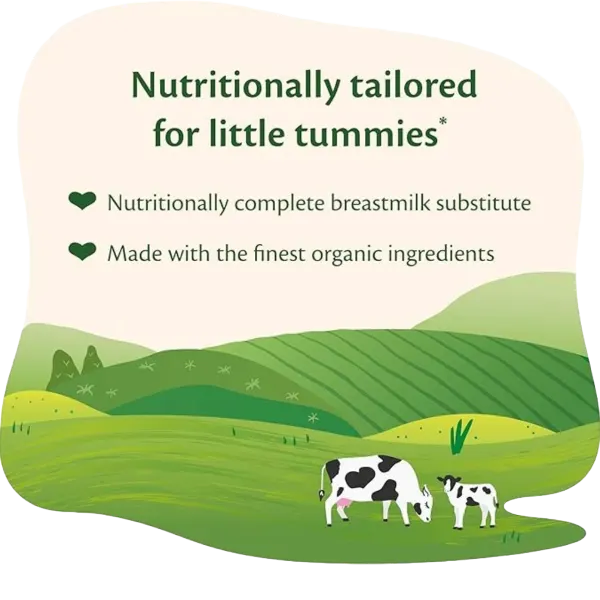 Hipp Org First Infant Formula 1 Milk From Birth 800g