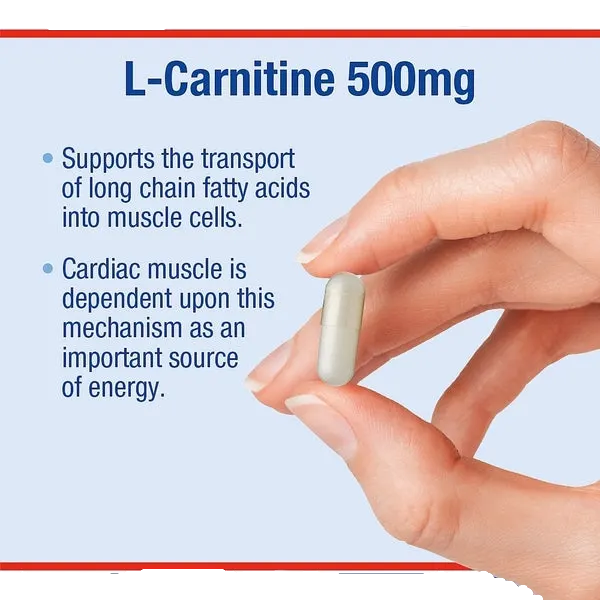 Lamberts L-Carnitine 500mg 60s