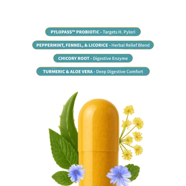 Snap Gut Health Caps 50's #Ssgh50